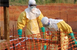 WHO xem xét việc dùng thuốc thử nghiệm điều trị Ebola